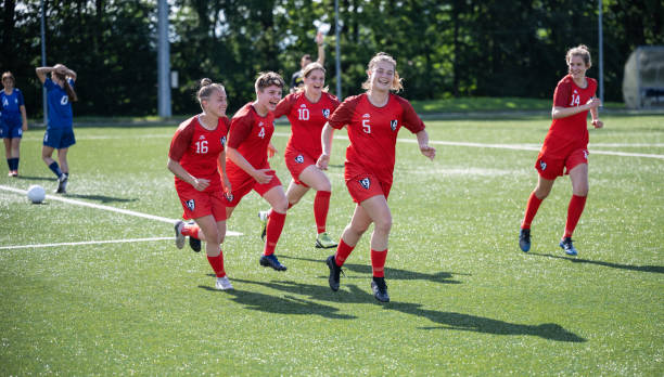 机务维护以 机务维护以