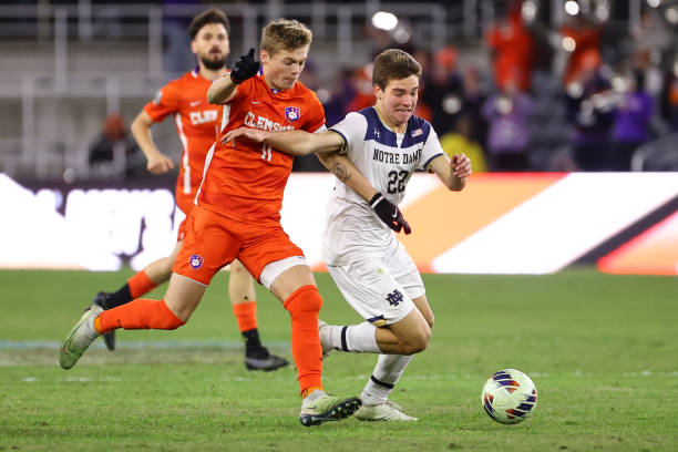 啟德體育園 啟德體育園